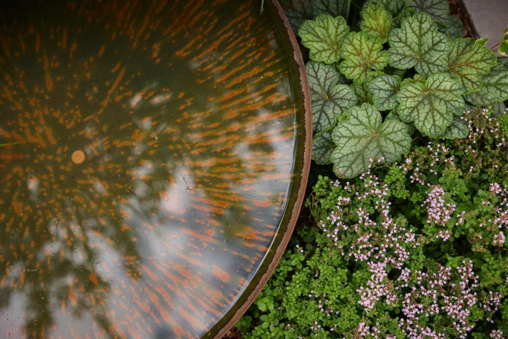 250821_Bella_Landscape_44_Humerstone_00050 1