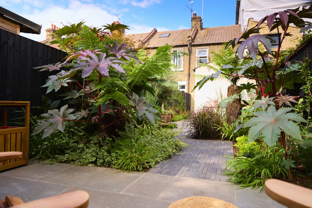 250821_Bella_Landscape_44_Humerstone_00144 1 1