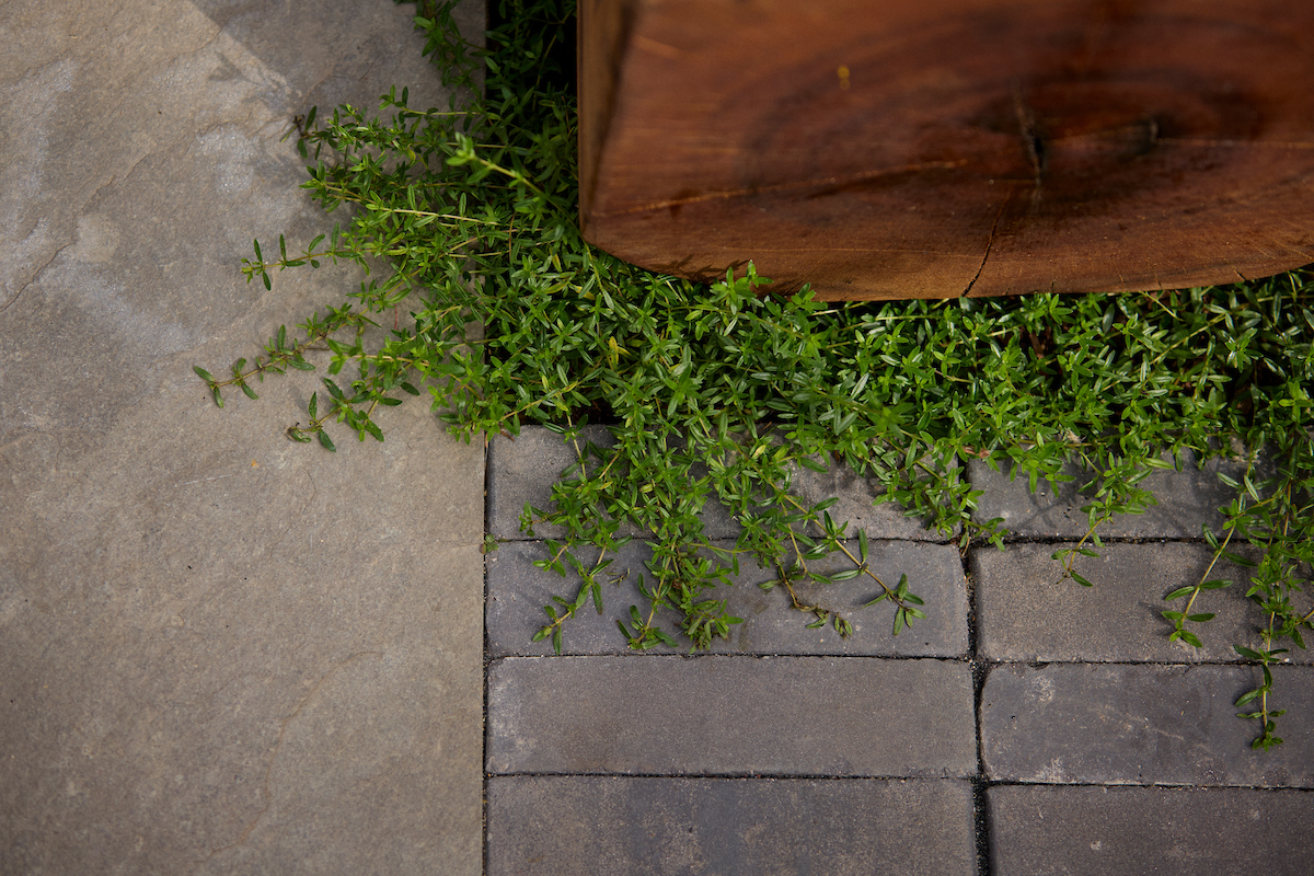 250821_Bella_Landscape_44_Humerstone_00248