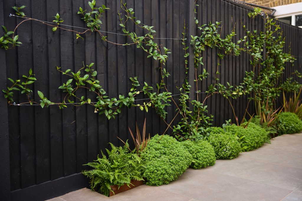 250821_Bella_Landscape_44_Humerstone_00296 1 1