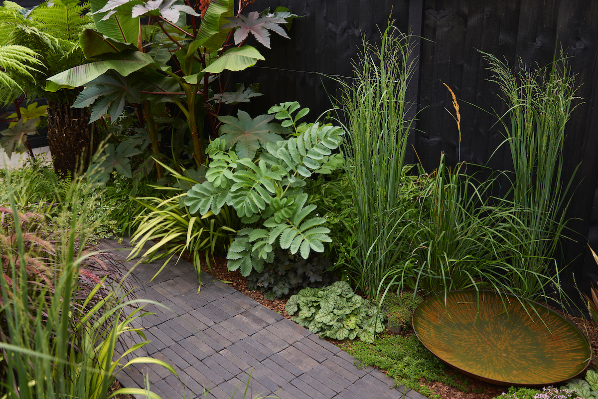 250821_Bella_Landscape_44_Humerstone_00434